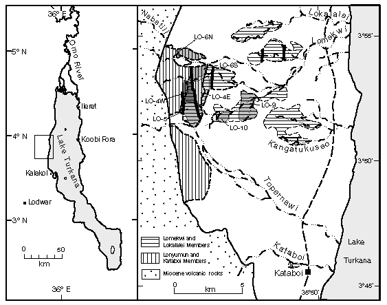 Localización del yacimiento