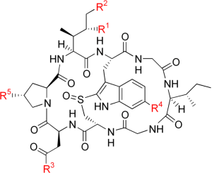 736px-Amatoxins_generic_strucuture