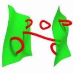 Branas en color verde. Cuerdas en color rojo. Si las cuerda es abierta, sus dos extremos pueden estar en la misma brana o en diferente. Si la cuerda es cerrada puede moverse libremente.