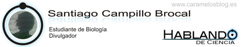 Santiago Campillo