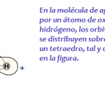 Imagen obtenida de la web del grupo de investigación de metabolismo energético y nutrición de la UIB.