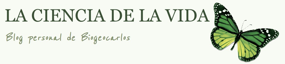biogeocarlos