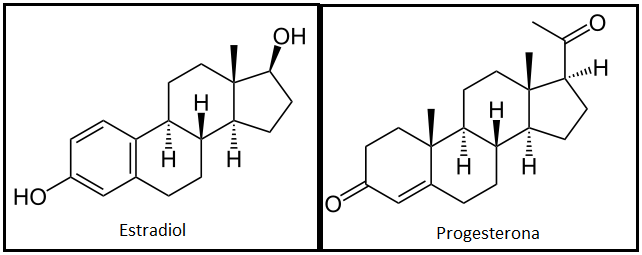 El Estradiol Y La Progesterona El estradiol y la progesterona