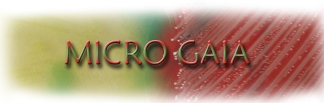 microgaia