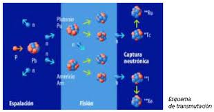 radionuclidos