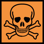 skull-l