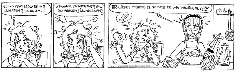 tira rafa bioenfurecido-Petra y PaulaRED