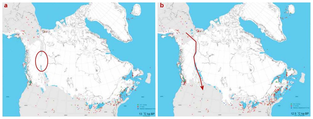 Momento en que se abre el corredor libre de hielo (ice-free corridor): a. Hace unos 13.000 años aún quedaba una masa de hielo que conectaba los dos glaciares; b. Hace unos 12.500 años quedó despejado el paso. Tomado de Madsen, D. B. (2004), Entering America: northeast Asia and Beringia before the last glacial maximum.