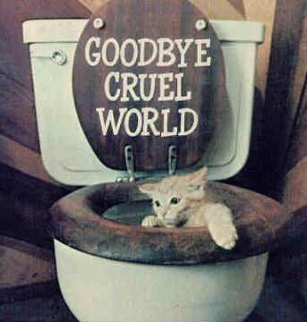 Cat_Toilet1