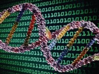 Es frecuente hablar del ADN como si de un código o lenguaje de programación se tratase.
