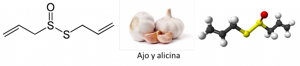 ajo y alicina