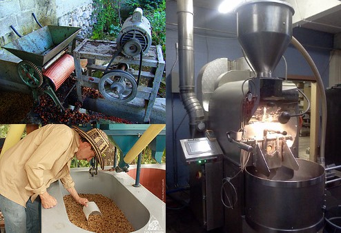 caf_aquapulp_roast
