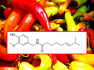 capsaicina