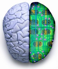 La actual metáfora del ordenador equipara el funcionamiento del cerebro al de un ordenador.