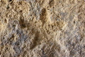 Detalle icono con forma de estrella