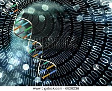 dnabinary_Bigstock_6828236
