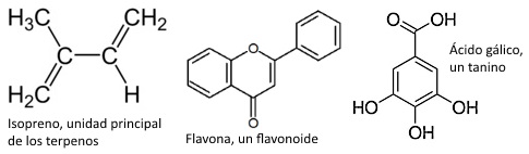 formulas