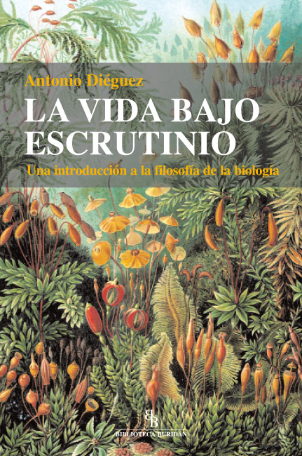 la-vida1
