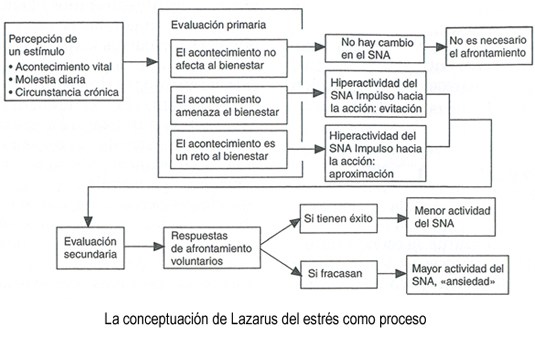 proceso estres