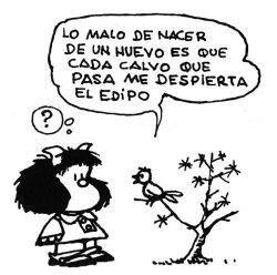 quino_edipo