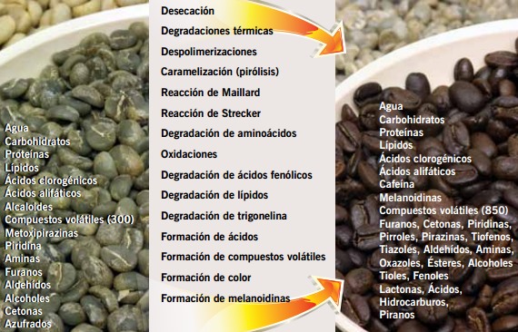 reacciones_tostado