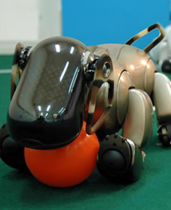 robot