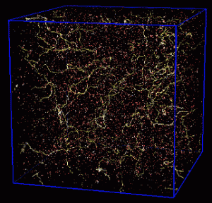 string_network